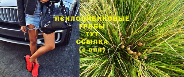 сатива Нефтекумск