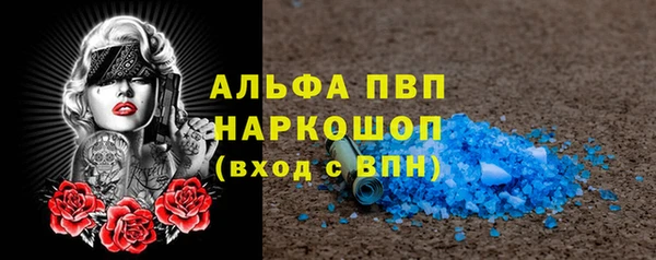 сатива Нефтекумск